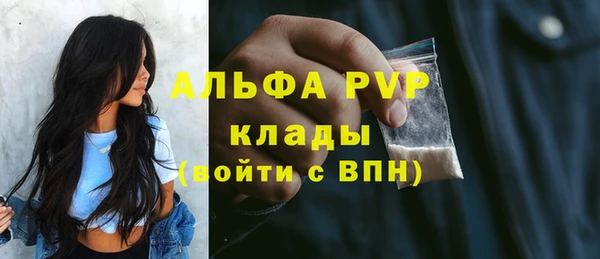 стаф Богородицк